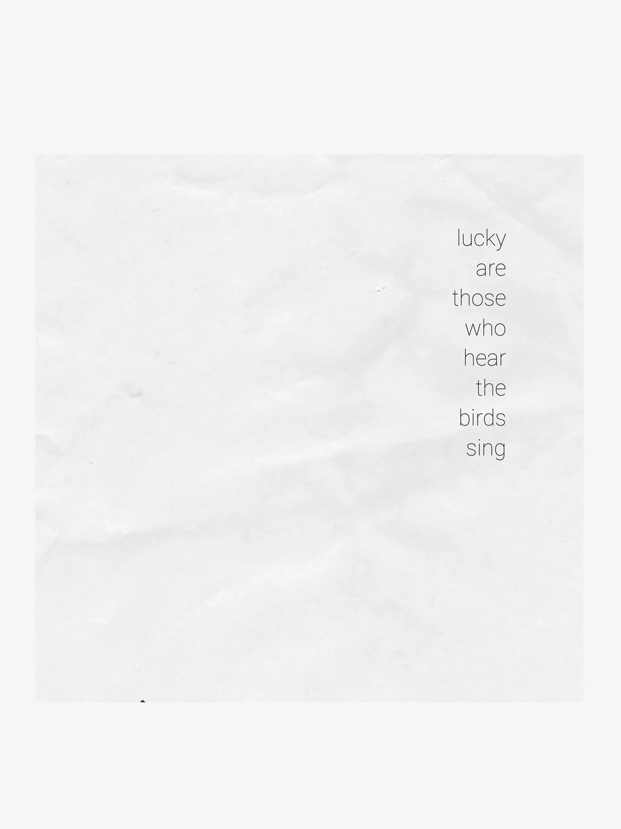 Music Various Artists - Lucky Are Those Who Hear The Birds Sing LP 3 Music Various Artists - Lucky Are Those Who Hear The Birds Sing LP
