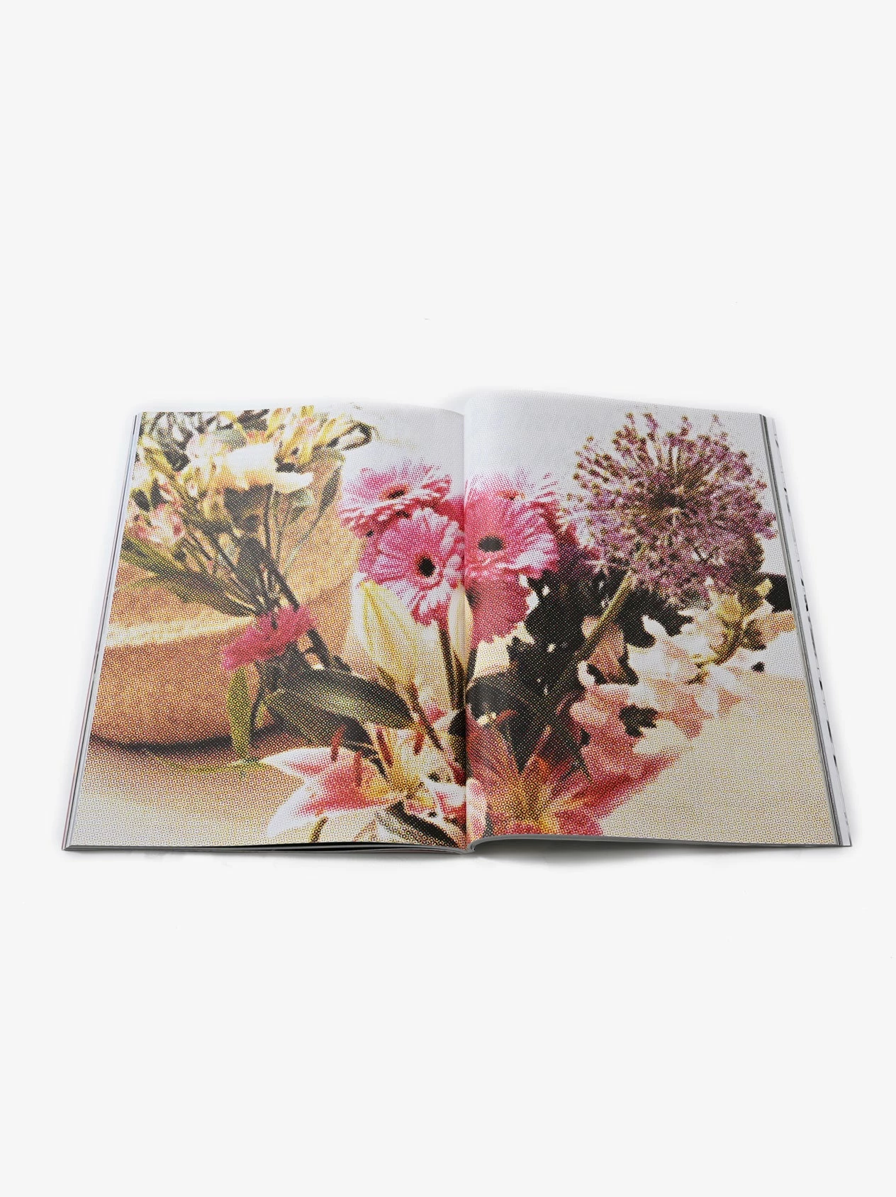 Magazines Not So Difficult 1 6 Magazines Not So Difficult 1 - Image 4