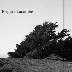 Magazines The Plant Issue 12 -Howlin's Shop theplant 12 ss18 7